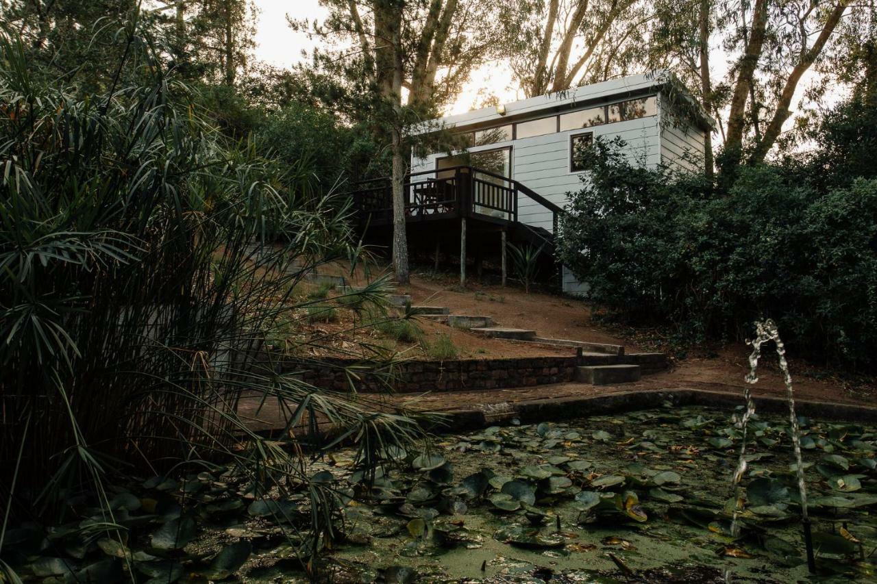 L'Auberge Country Hideaway ポート・エリザベス エクステリア 写真